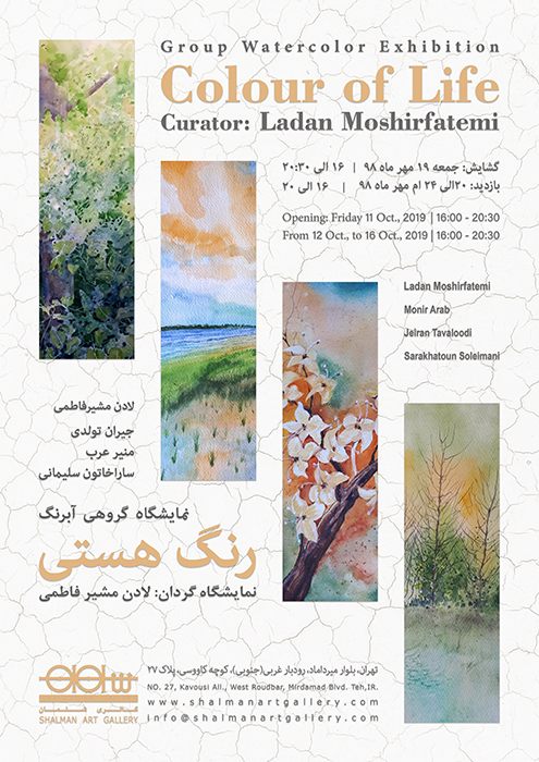 Catherine Roberts abstract landscape painter from Wellington